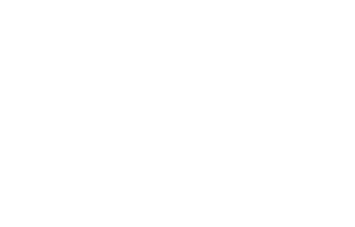 Logo Collège CEI